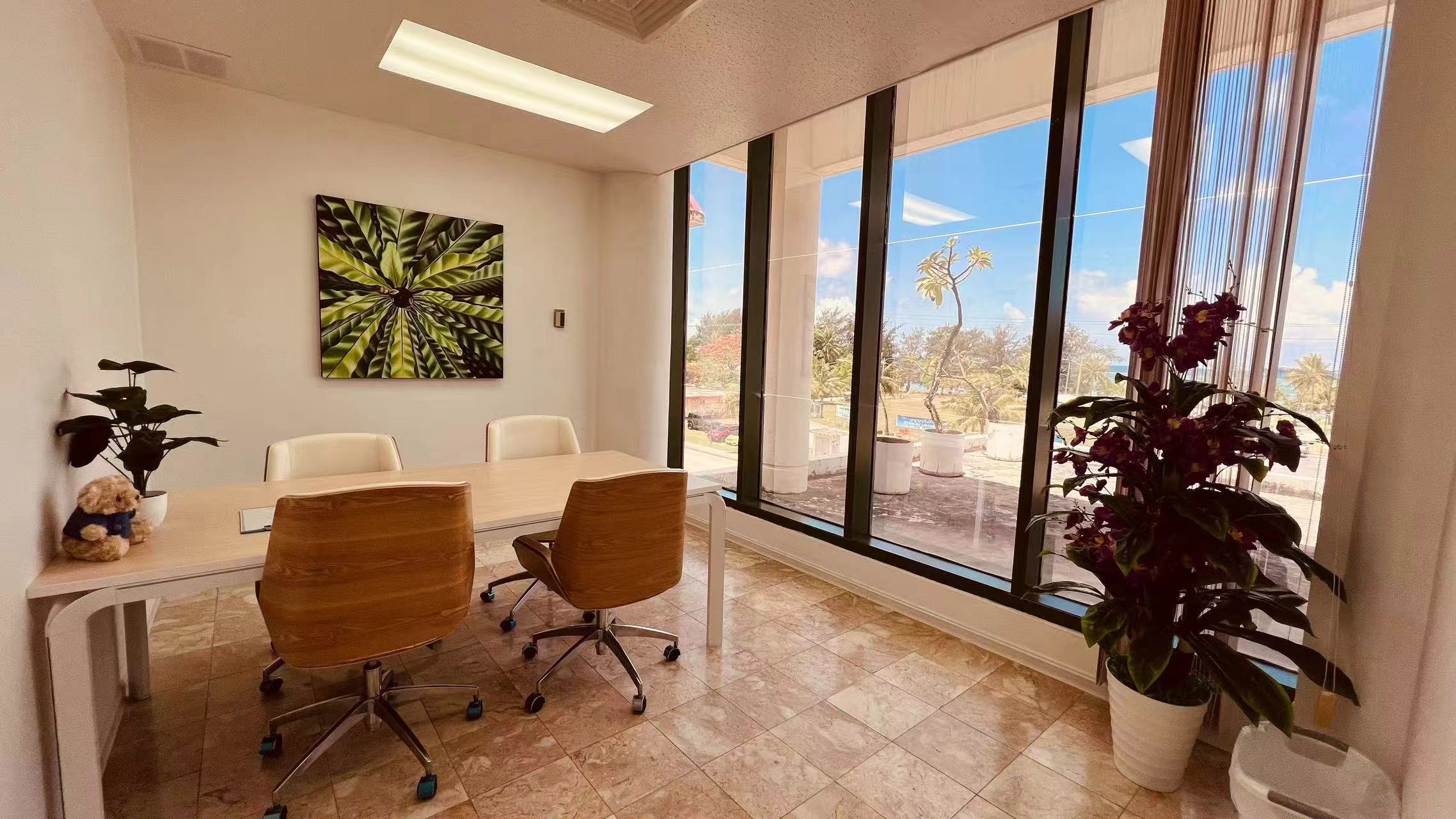 Consultation room with Pacific ocean view